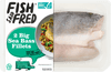 Big Sea Bass Fillets